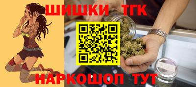 индика Кунгур