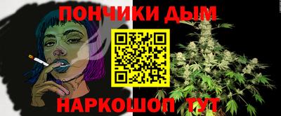 индика Кулебаки
