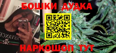 индика Кулебаки